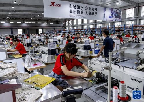 新華全媒 | 從家庭作坊到現代化工廠，從鄉鎮企業到國際知名企業——探訪福建晉江民營企業的管理密碼